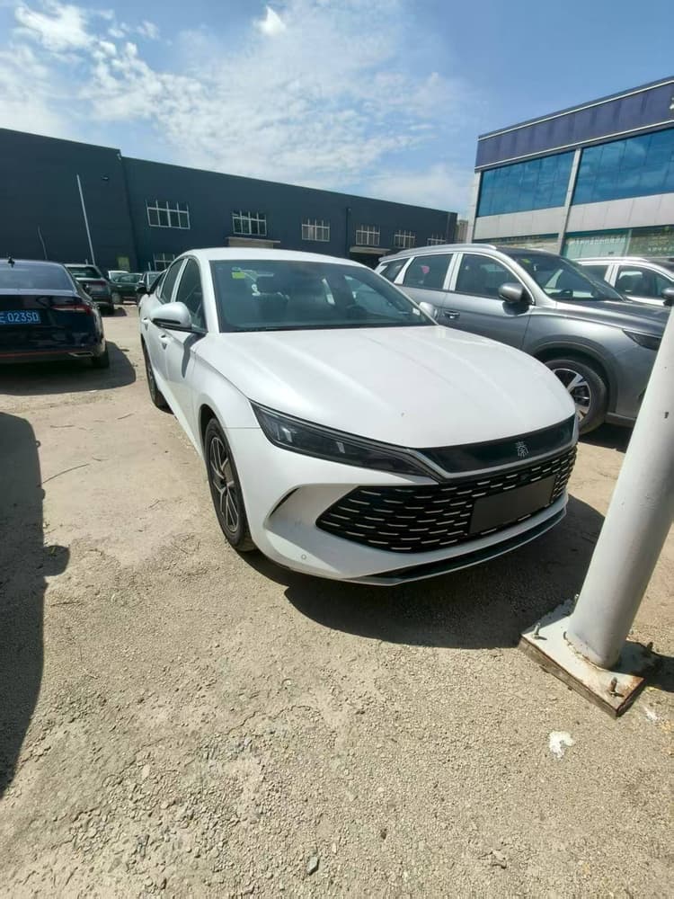 Qin L 2025 DM-i intelligent driving version 80KM beyond type