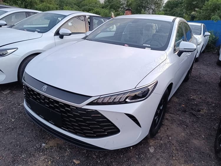 Qin PLUS 2025 DM-i Smart Driving Edition 55KM Leading Model