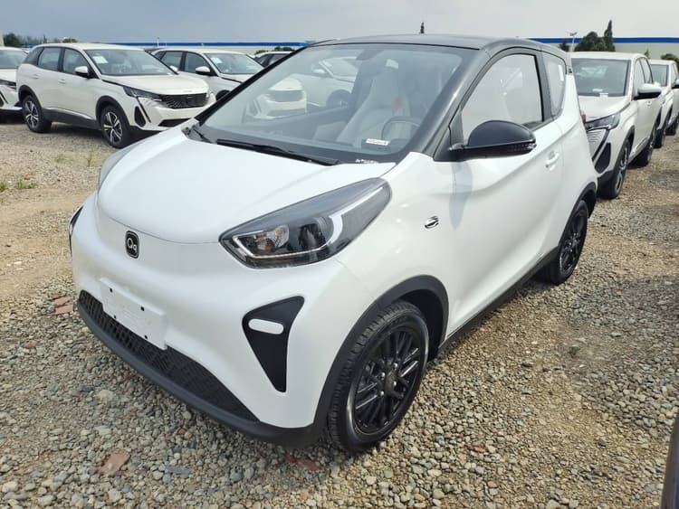 Small Ant 2024 321km Love Edition