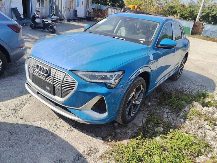 Audi e-tron 2021 Model 50 quattro Excellen Selection