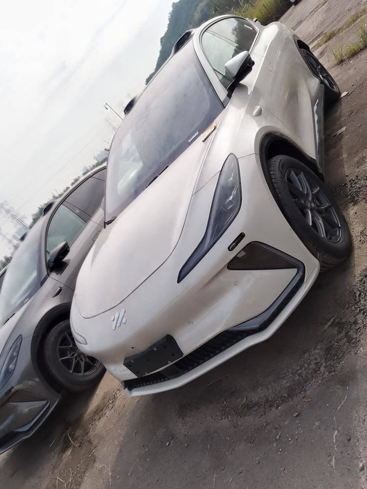 Zhiji LS7 2024 90kWh Max Elite Rear Drive Edition
