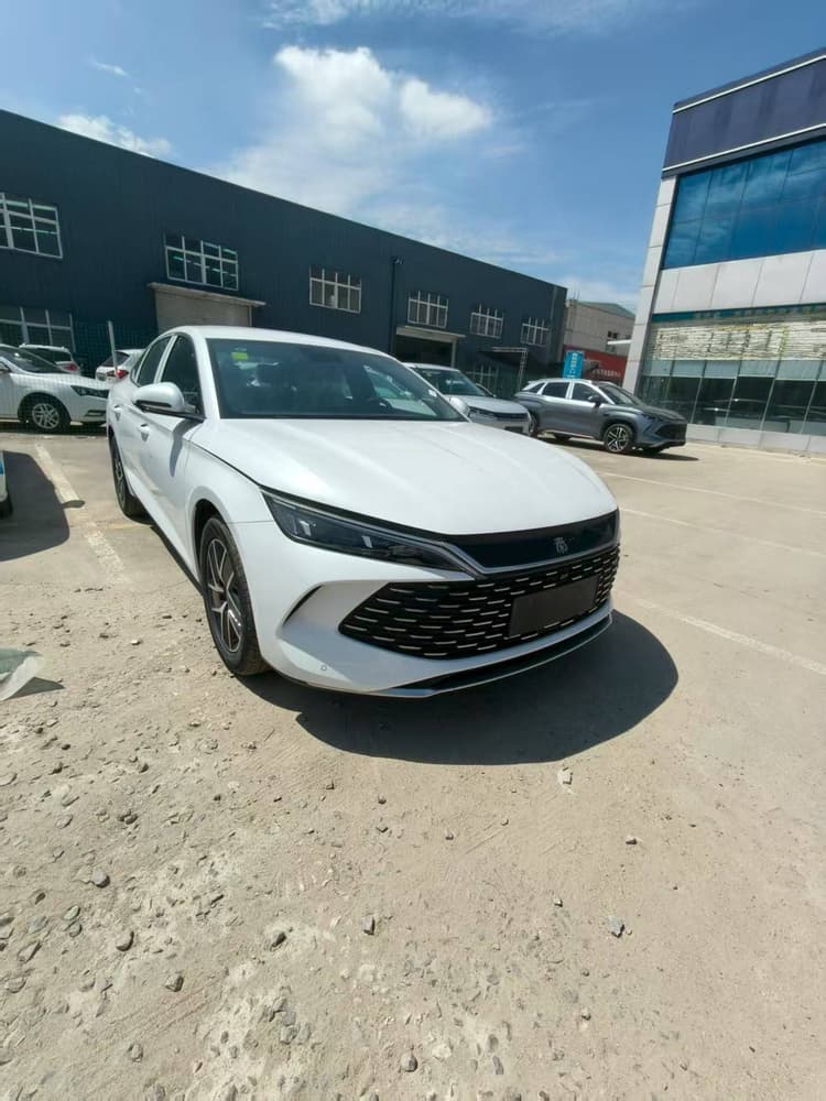 Qin L 2025 DM-i intelligent driving version 80KM beyond type