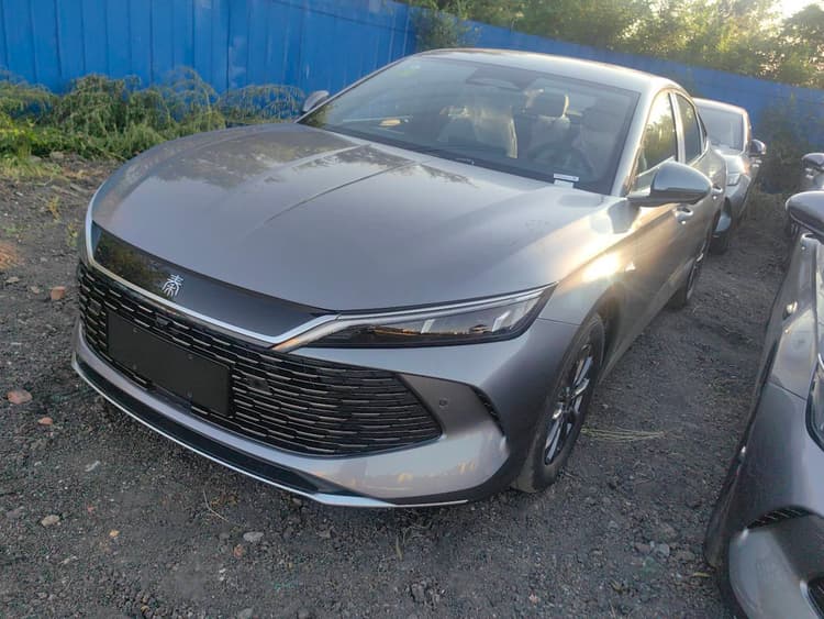 Qin L 2025 DM-i intelligent driving version 80KM leading