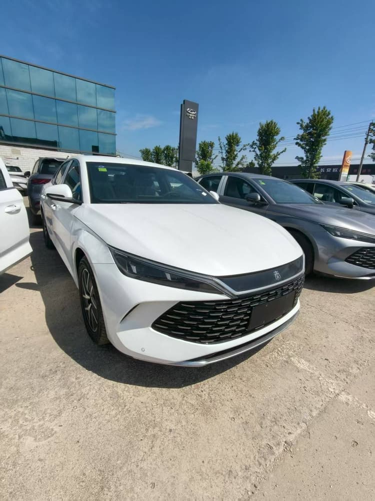 Qin L 2025 DM-i intelligent driving version 80KM beyond type