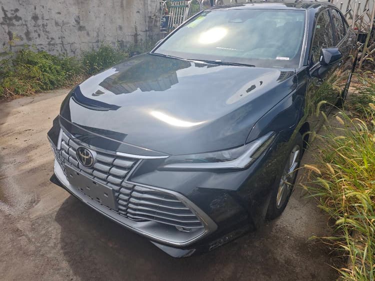 Asian Dragon 2024 2.0L Enterprising Edition