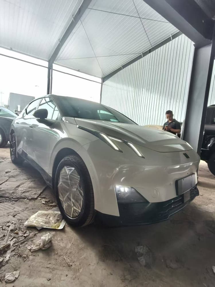 Lingke Z20 2025 530km Rear Drive Max