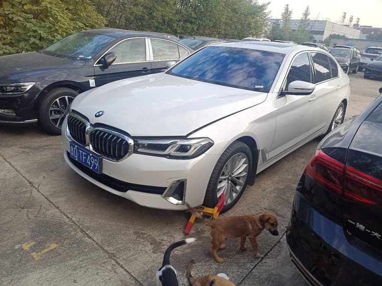 BMW 5 Series 2021 525Li Luxury suit