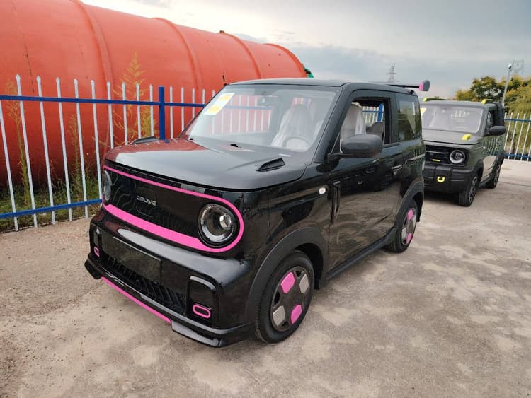 Panda 2025 210km Panda Cardin