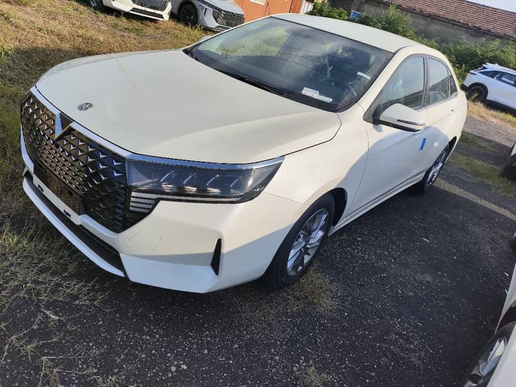 Qichen D60 2023 PLUS 1.6L XE CVT Tide Collar Edition
