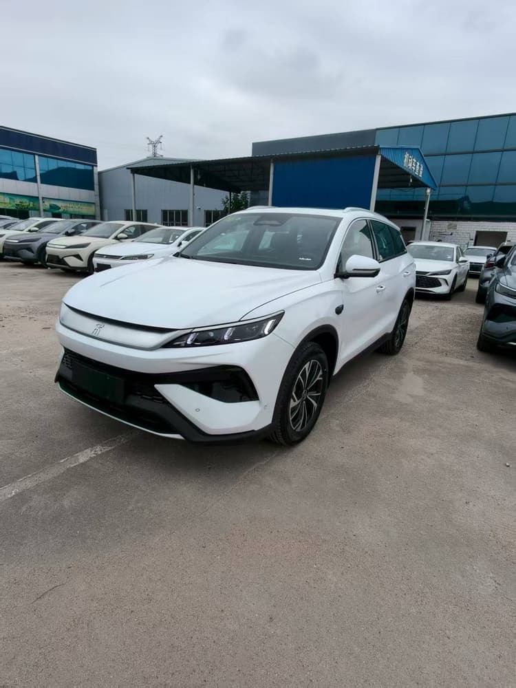 Song Pro New Energy 2025 Second Generation DM-i 75KM Leading Type