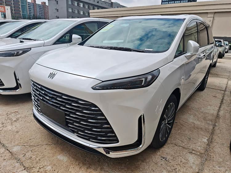 Buick GL8 New Energy 2025 Lu Shangxian Edition 7