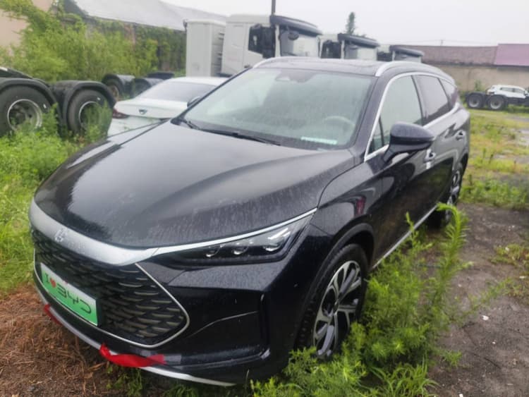 Tang New Energy 2025 Smart Driving Edition DM-i 115KM Honorable Model