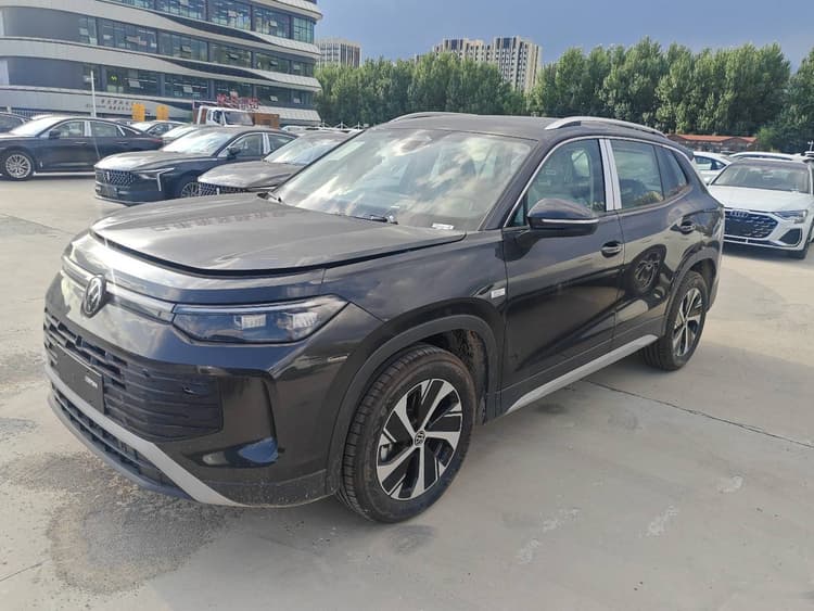 Tanyue 2025 Tanyue Tanyue L 330TSI Two-Drive Elite