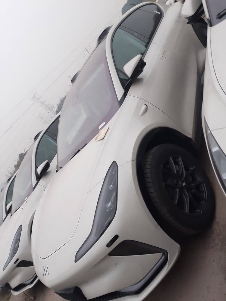 Zhiji LS7 2024 90kWh Max Elite Rear Drive Edition