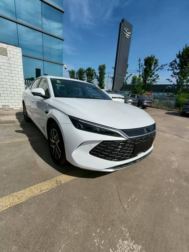 Qin L 2025 DM-i smart driving version 120KM leading model