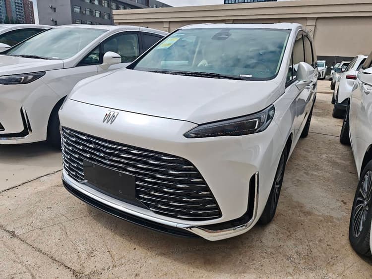 Buick GL8 New Energy 2025 Lu Shangzhi Edition 7