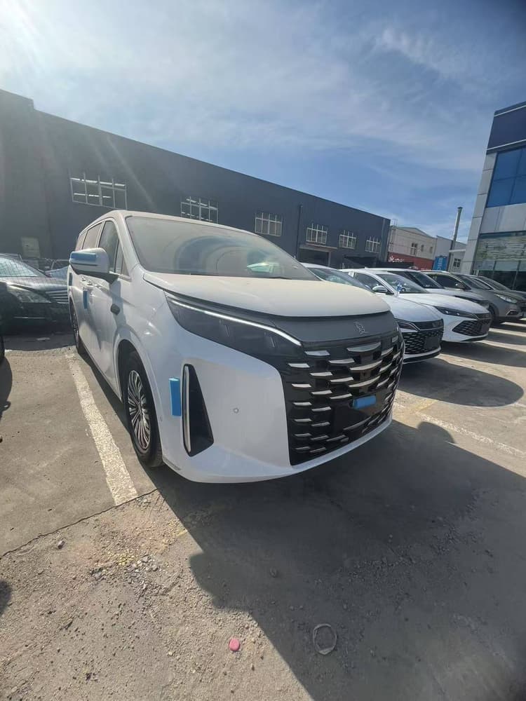 Summer 2025 DM-i 1.5T 180km beyond type