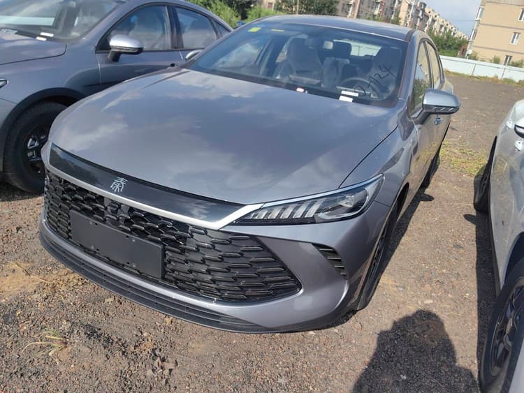 Qin PLUS 2025 DM-i Smart Driving Edition 55KM Leading Model