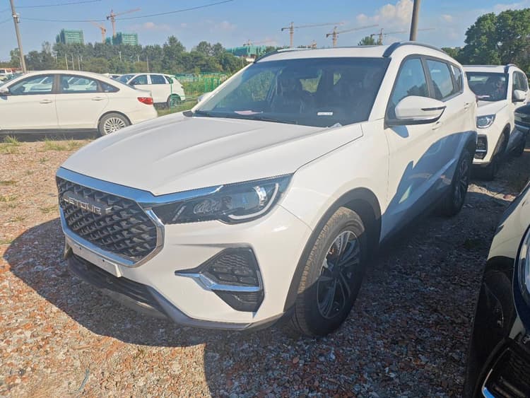 Jetour X70 2023 1.5T DCT Land Crown Edition 5