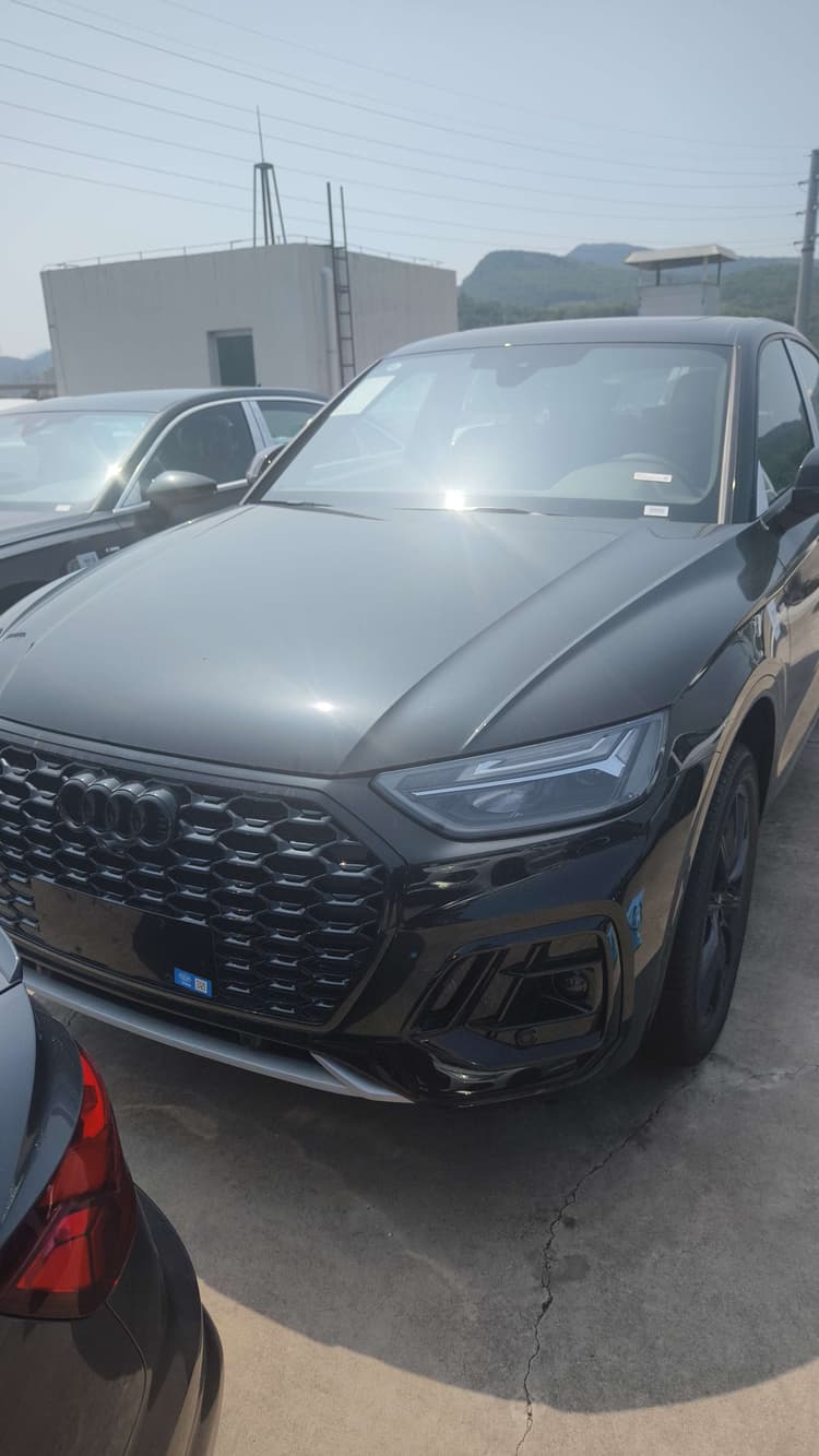 Audi Q5L Sportback 2025 quattro 45th Anniversary Collection 40 TFSI Luxury Model
