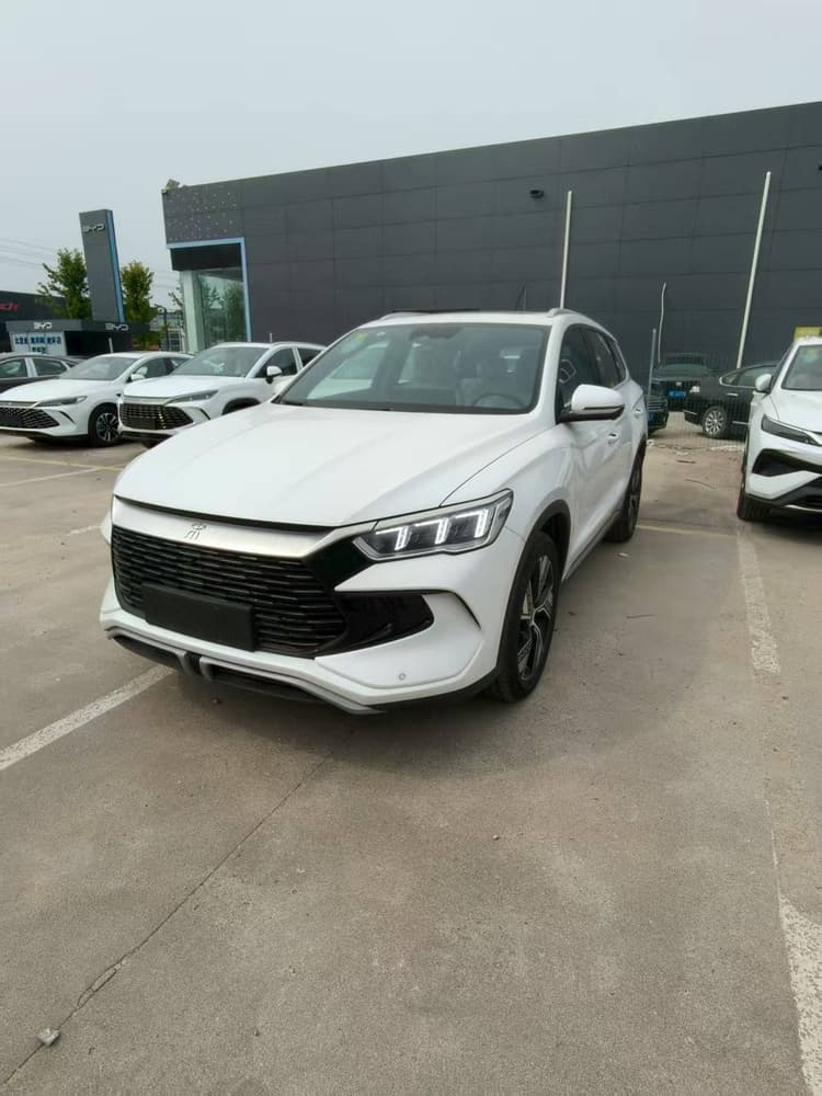 Song Pro New Energy 2024 Glory Edition DM-i 110KM Excellence