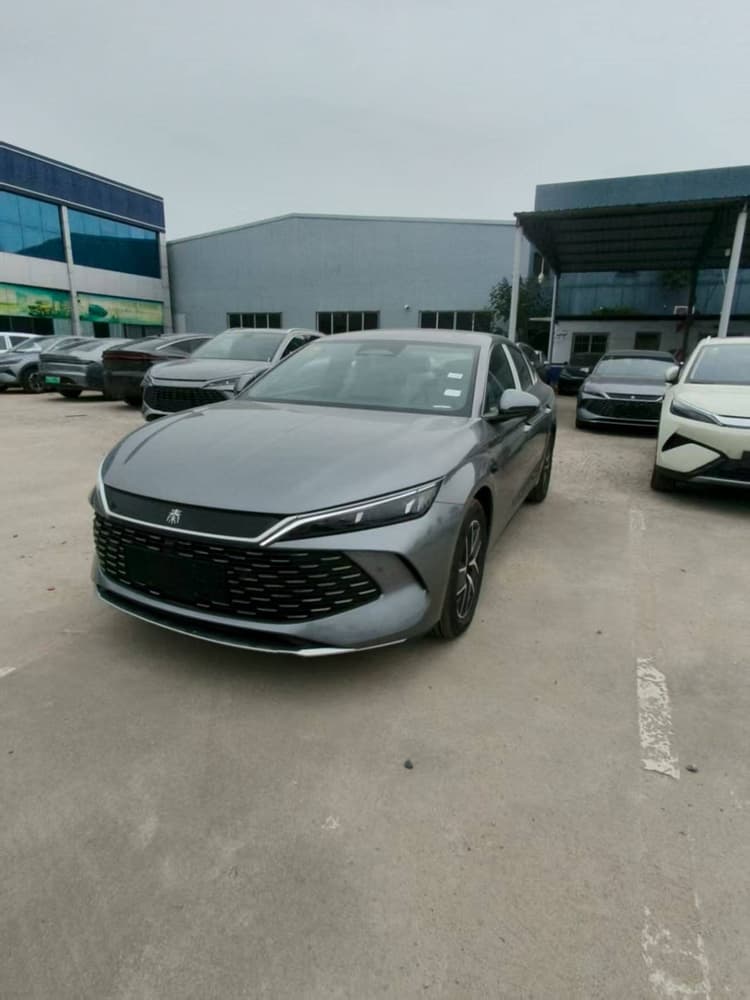 Qin L 2025 DM-i smart driving version 120KM beyond type