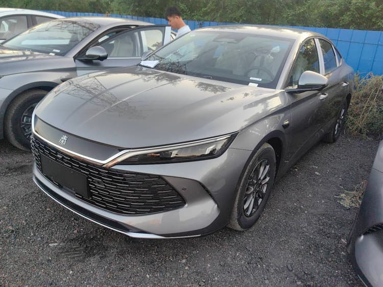 Qin L 2025 DM-i intelligent driving version 80KM leading