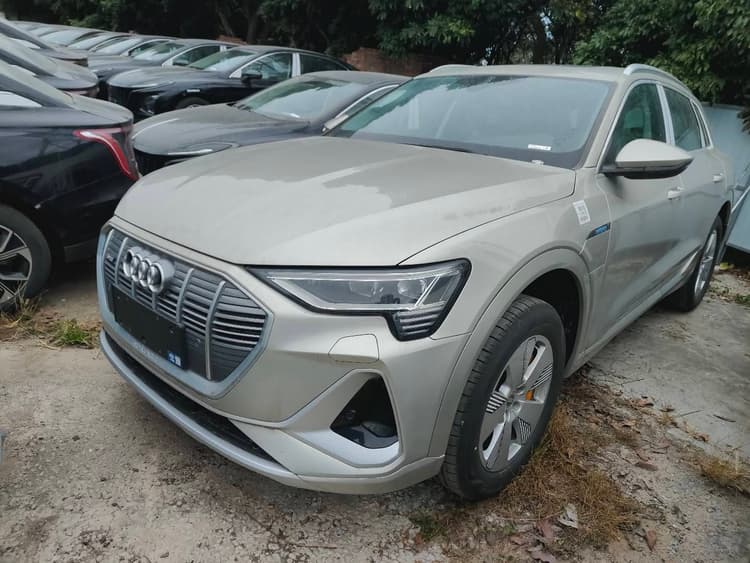 Audi e-tron 2021 50 quattro Luxury Model