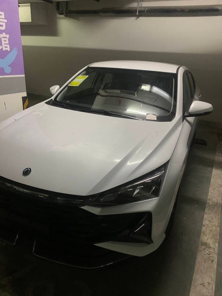 Yi Xuan 2025 1.5L Auto Luxury Model