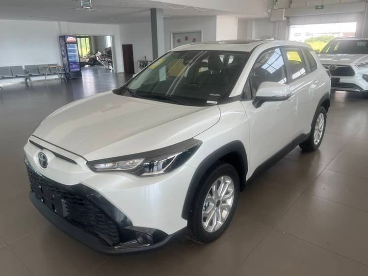 Feng Landa 2024 2.0L CVT Leading plus Edition