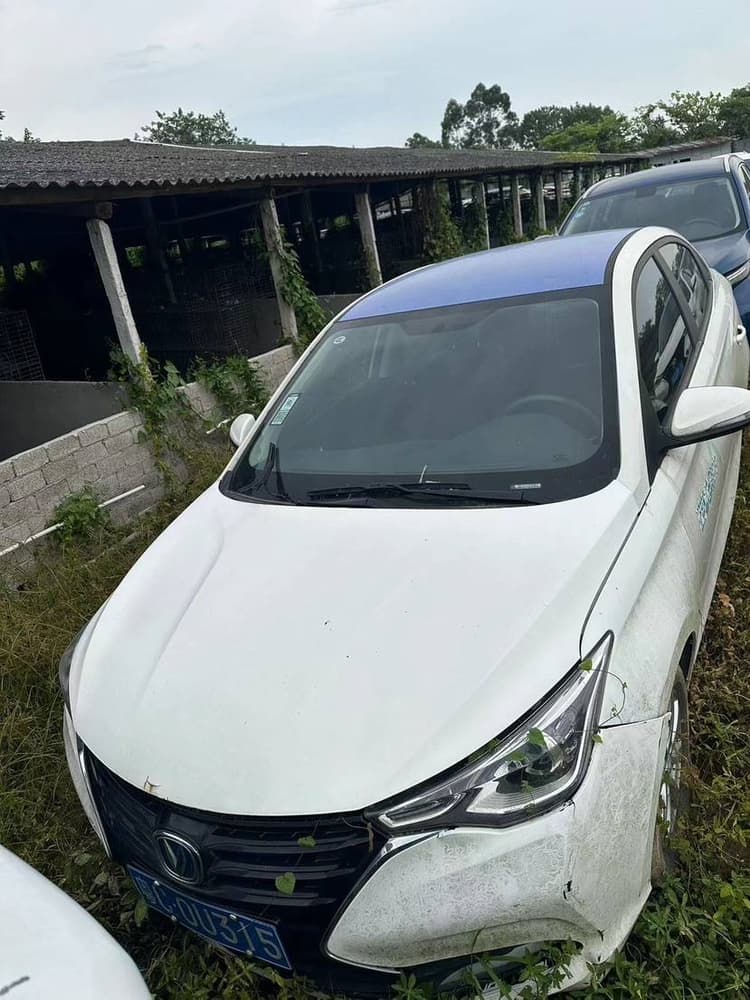 Yuexiang 2019 1.5L DCT Luxury Country VI