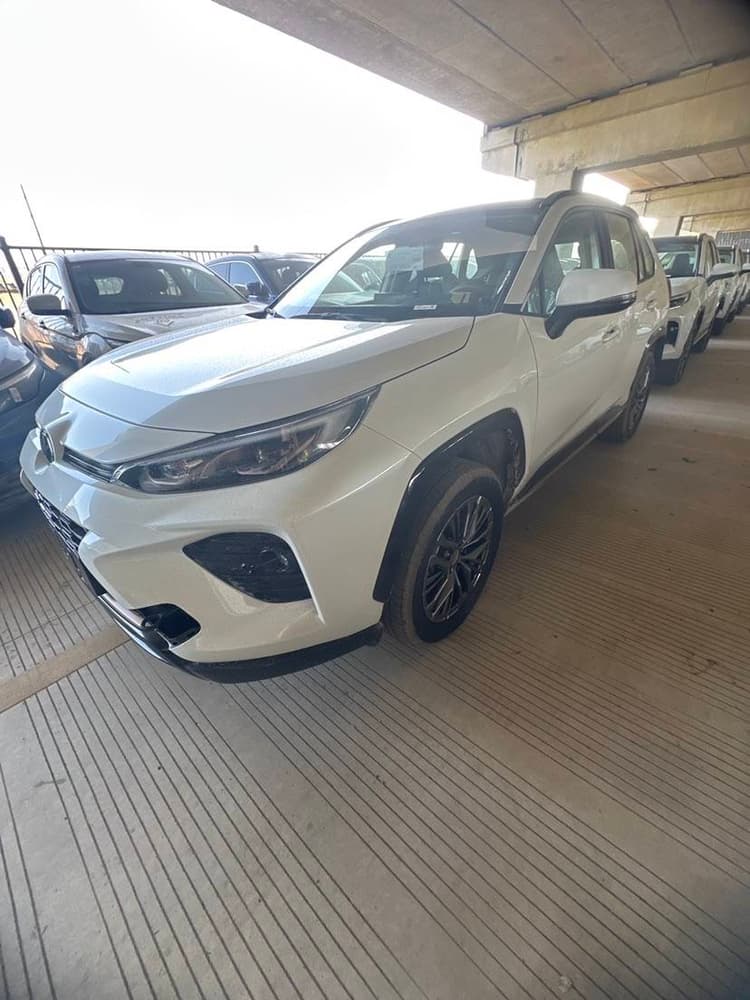 Willanda 2024 2.0L CVT Two-Drive Leading Edition