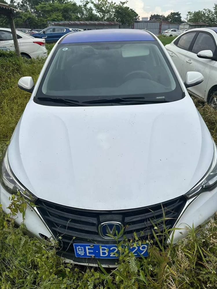 Yuexiang 2019 1.5L DCT Luxury Country VI