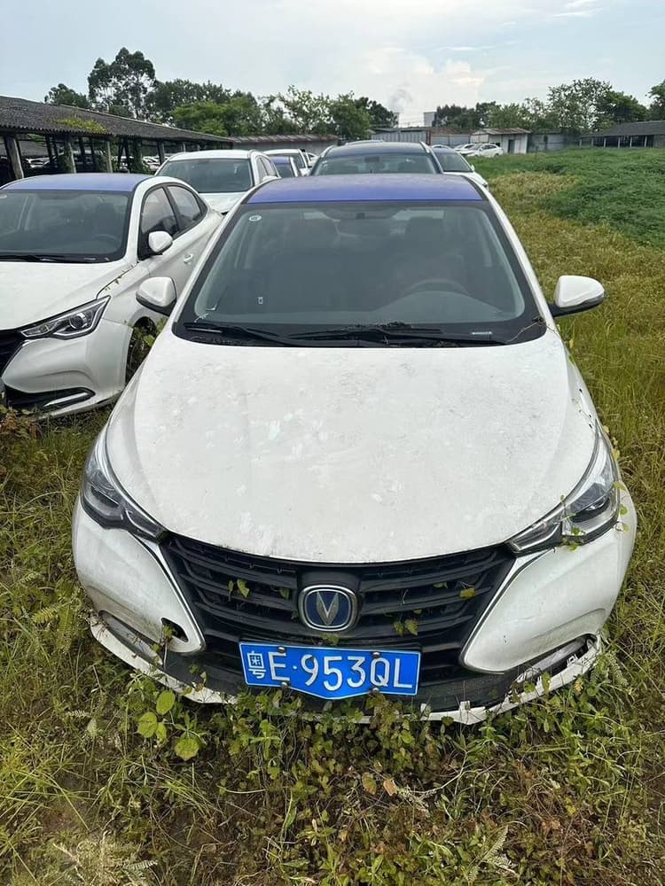 Yuexiang 2019 1.5L DCT Luxury Country VI