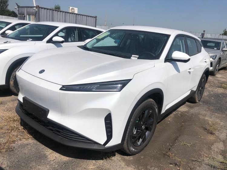 Dongfeng Fengshen L7 2025 430 Comfortable