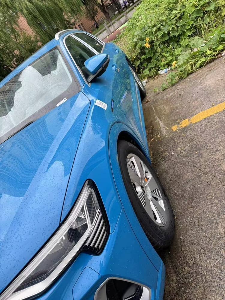 Audi e-tron 2021 50 quattro Luxury Model
