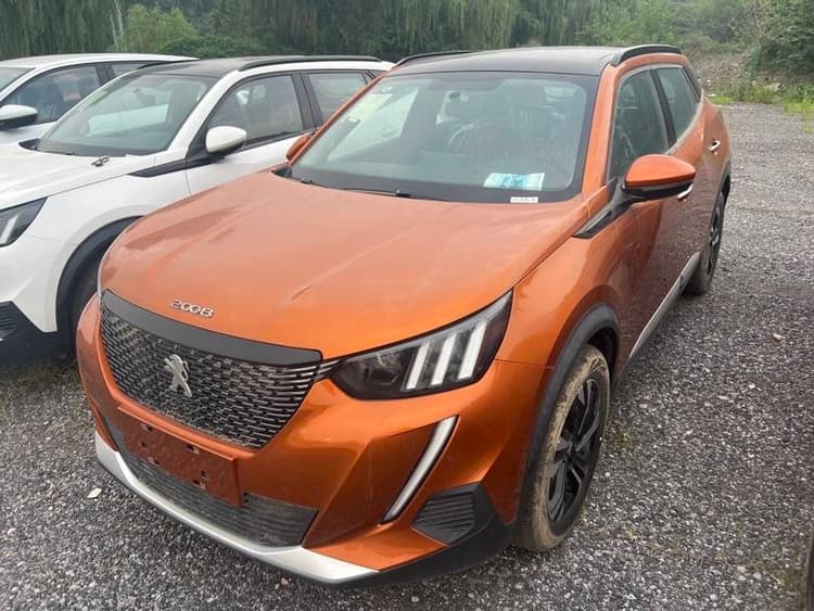 Peugeot 2008 2020 230THP Ruishang Edition