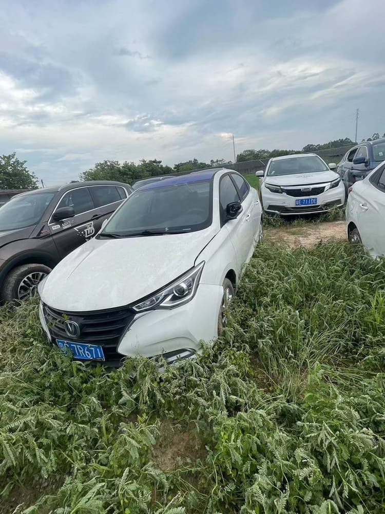 Yuexiang 2019 1.5L DCT Luxury Country VI