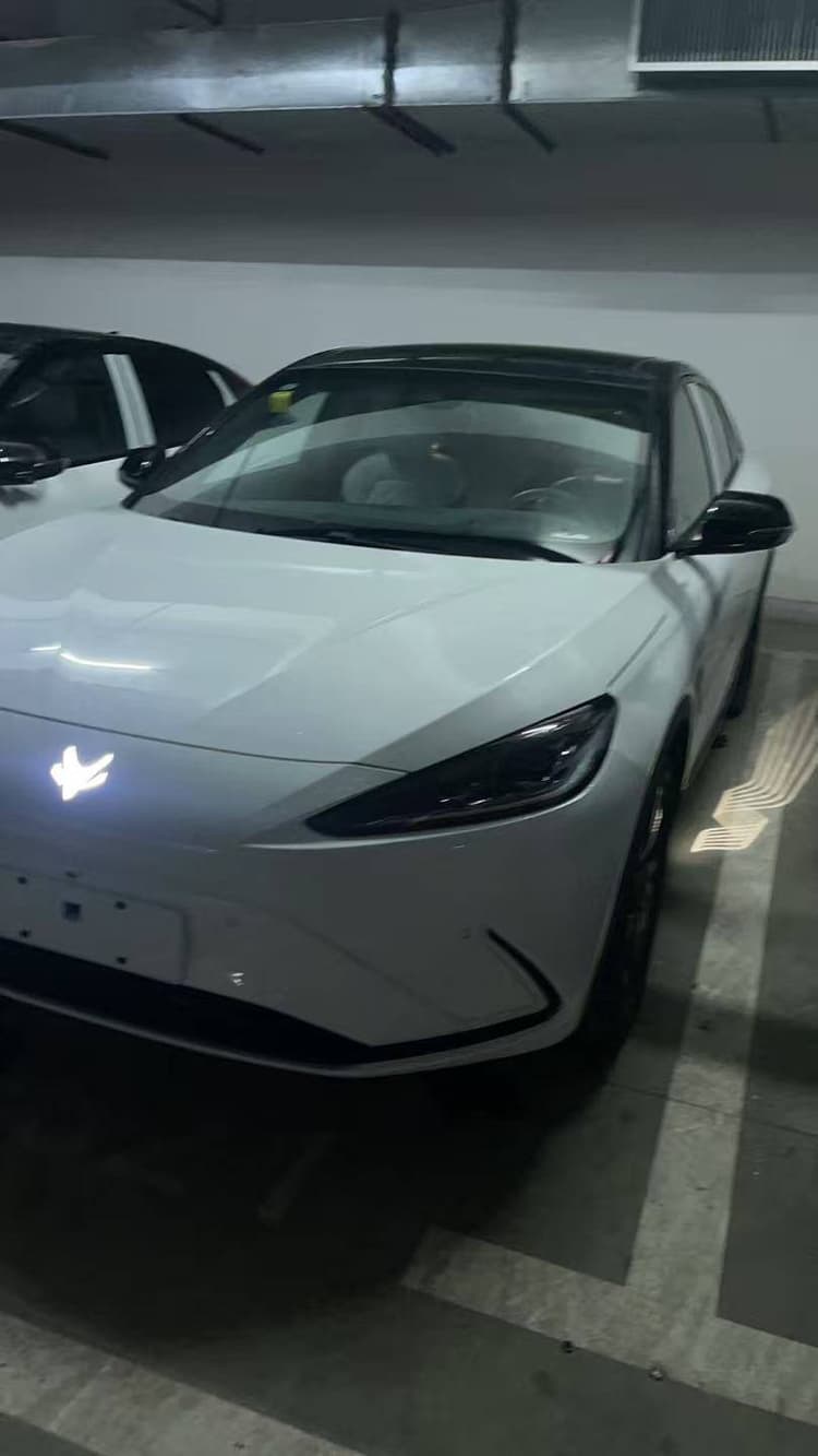 Polar Fox Alpha S(ARCFOX Alpha S) 2023 735E Forest Edition 160kW