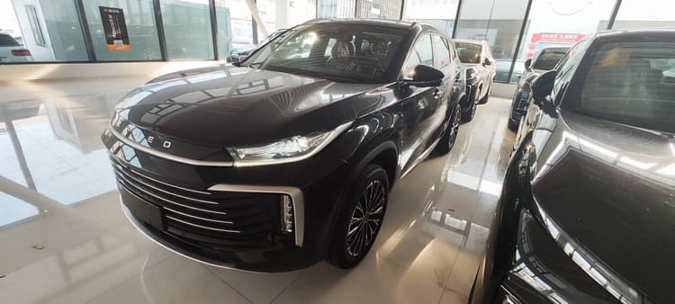 Xingtu Lingyun 2025 300T Two-Drive Xingyao Edition