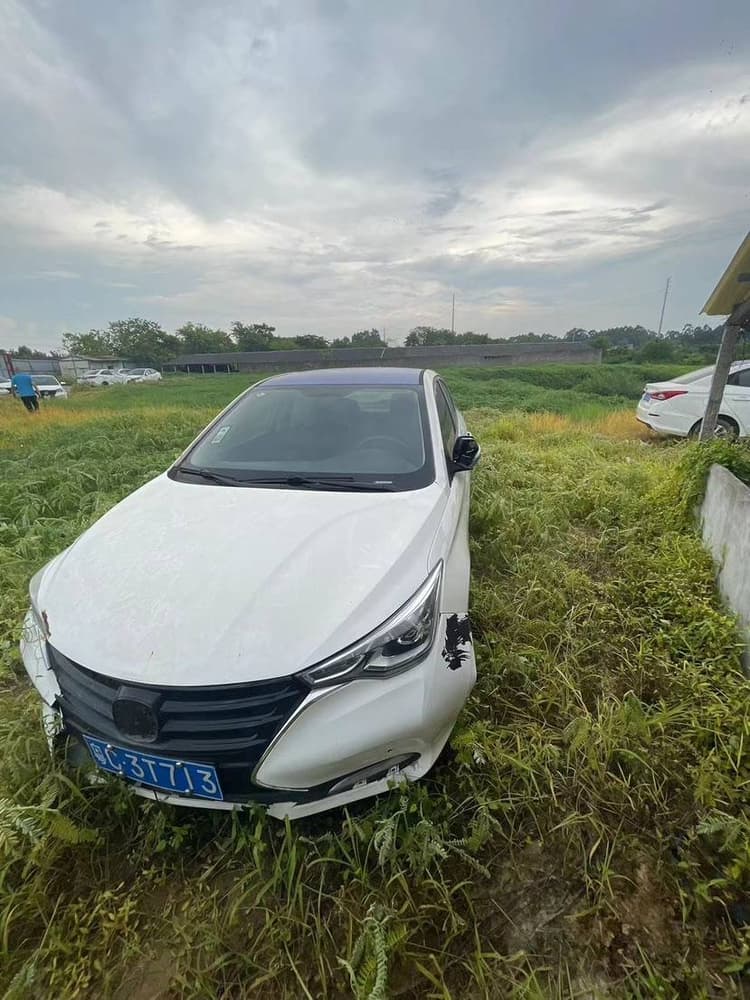 Yuexiang 2019 1.5L DCT Luxury Country VI