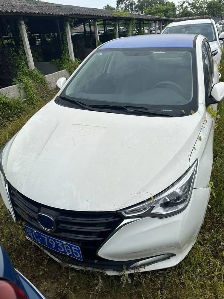 Yuexiang 2019 1.5L DCT Luxury Country VI