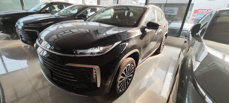 Xingtu Lingyun 2025 300T Two-Drive Xingyao Edition