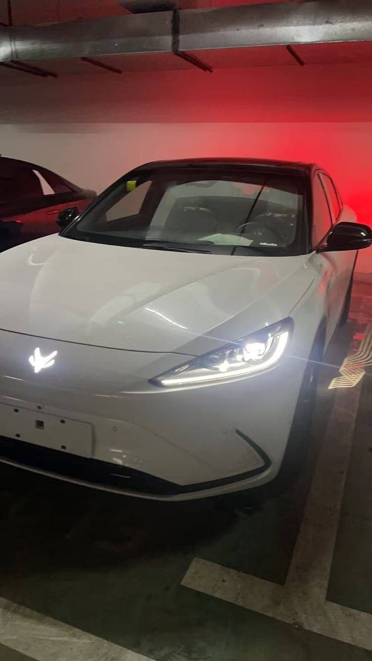 Polar Fox Alpha S(ARCFOX Alpha S) 2023 735E Forest Edition 160kW