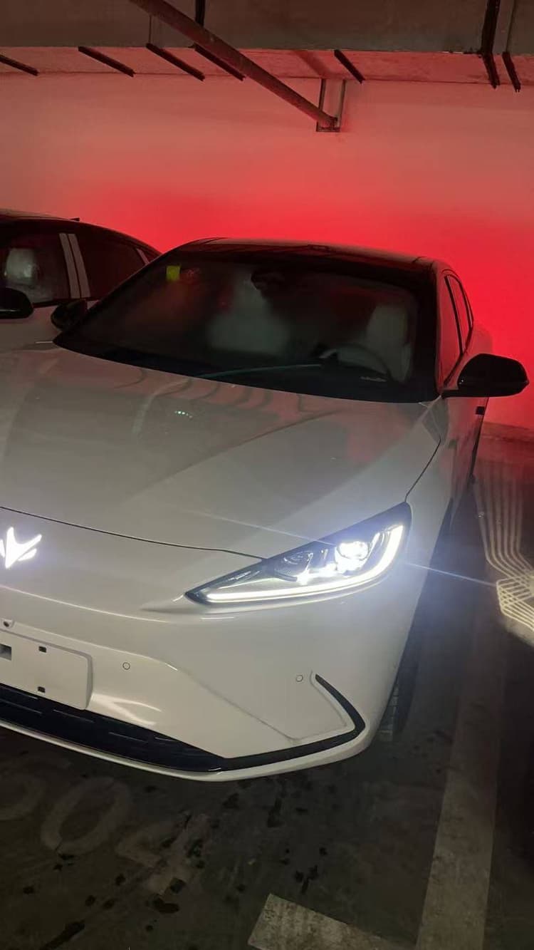 Polar Fox Alpha S(ARCFOX Alpha S) 2023 735E Forest Edition 160kW