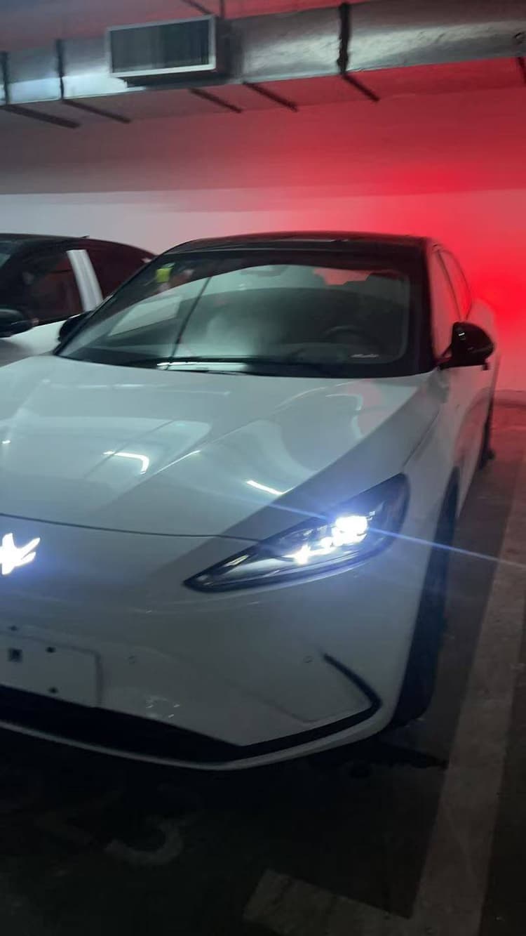 Polar Fox Alpha S(ARCFOX Alpha S) 2023 735E Forest Edition 160kW