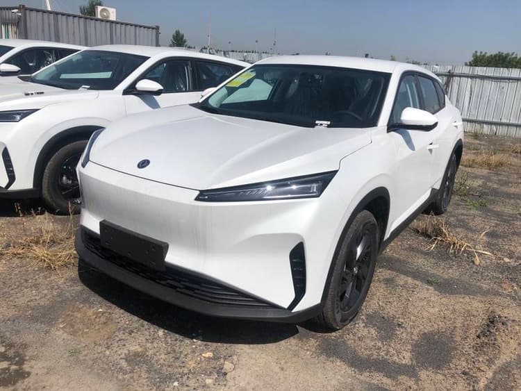 Dongfeng Fengshen L7 2025 430 Comfortable