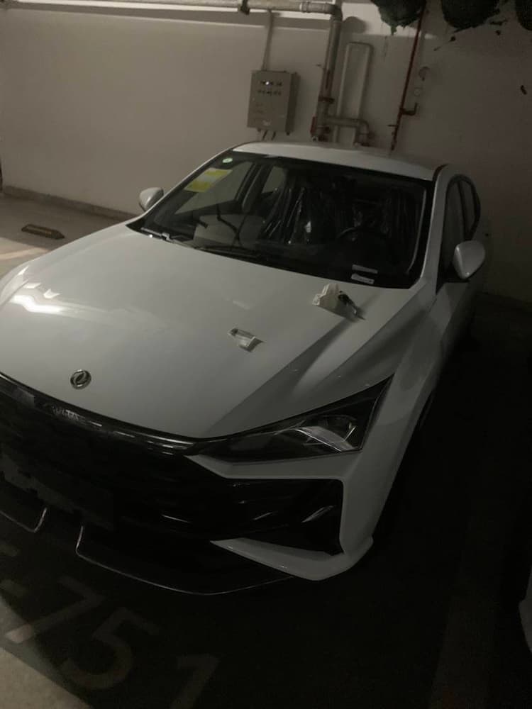 Yi Xuan 2025 1.5L Auto Luxury Model