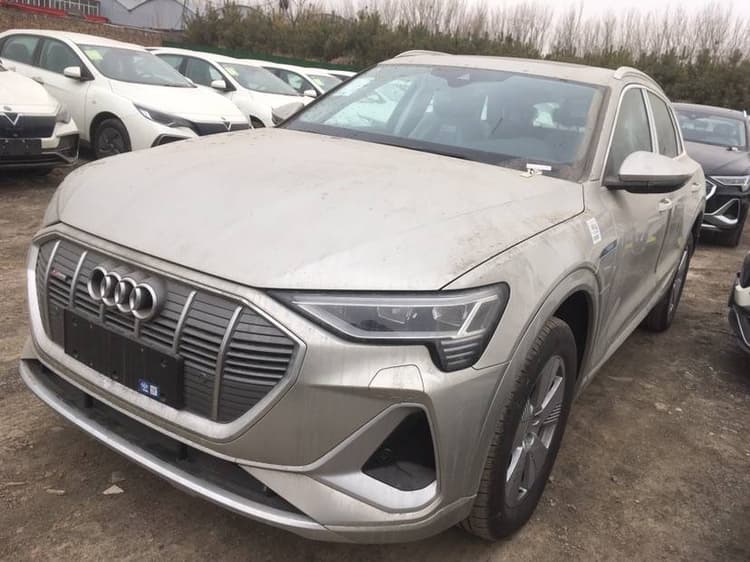 Audi e-tron 2021 50 quattro Luxury Model