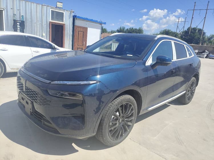 Wei brand mocha 2021 2.0T two-wheel drive special incense version